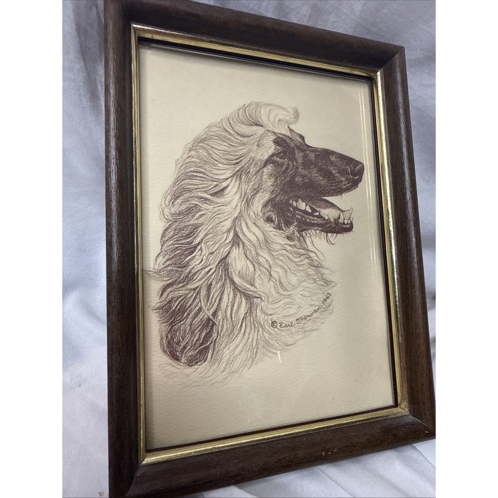 Vintage Earl Sherwan Afghan Hound Dog Portrait Drawing Sketch 1963 MCM Frame